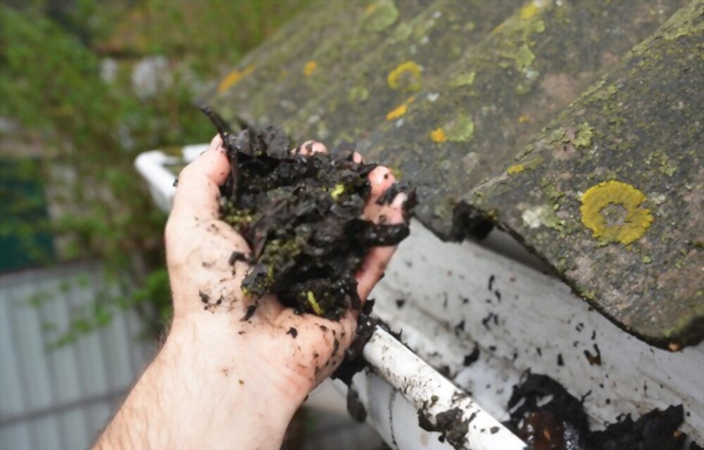 7 Alarming Signs You Need New Gutters
